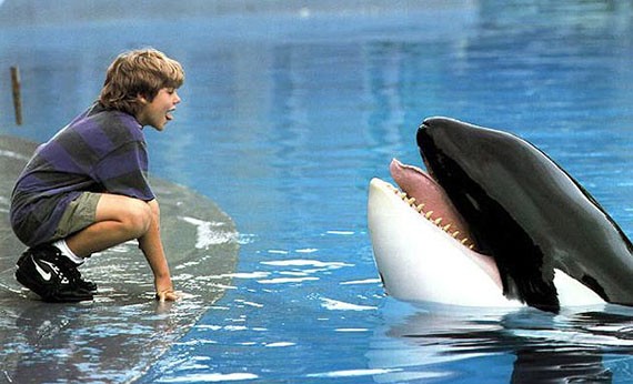Free Willy