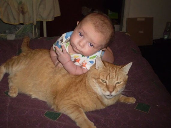 Bayi bersama kucing