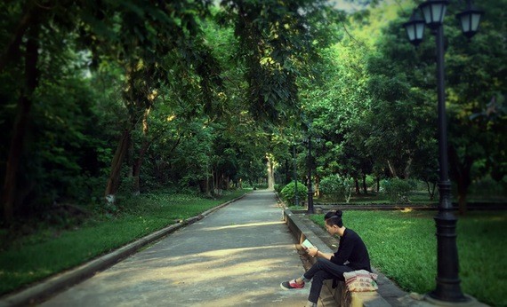 Pria membaca buku di taman