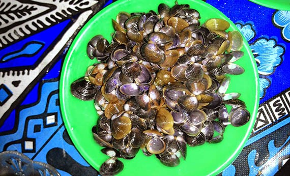 Pensi Maninjau