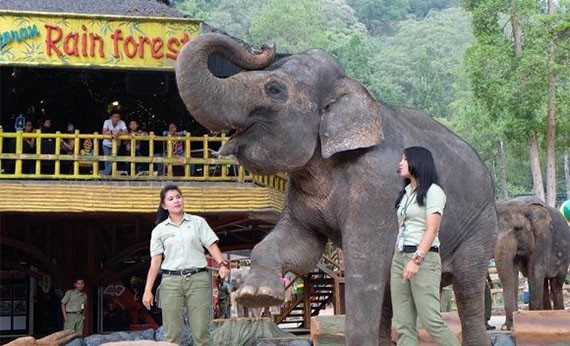 Taman Safari Bogor