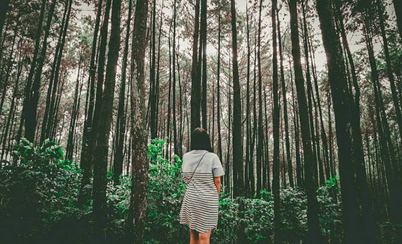 Gunung Pancar Bogor