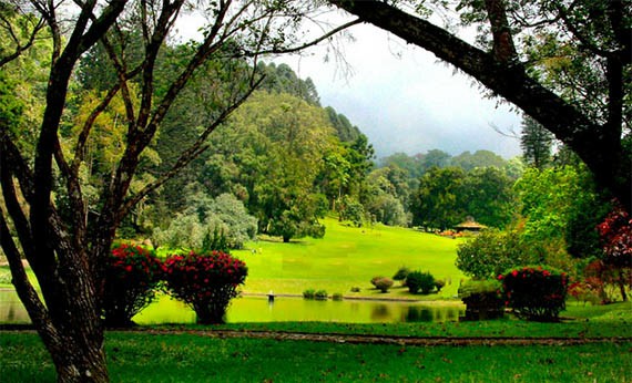 Kebun Raya Cibodas