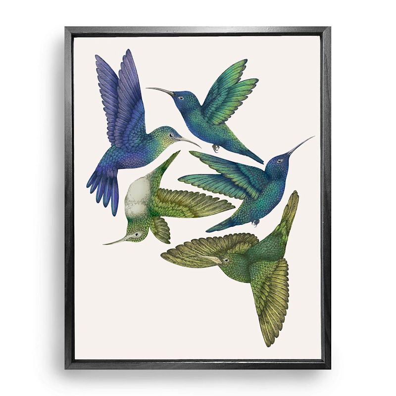 Antique Hummingbirds I Cream - Fine Art Print S | Emily Carter | Wolf ...