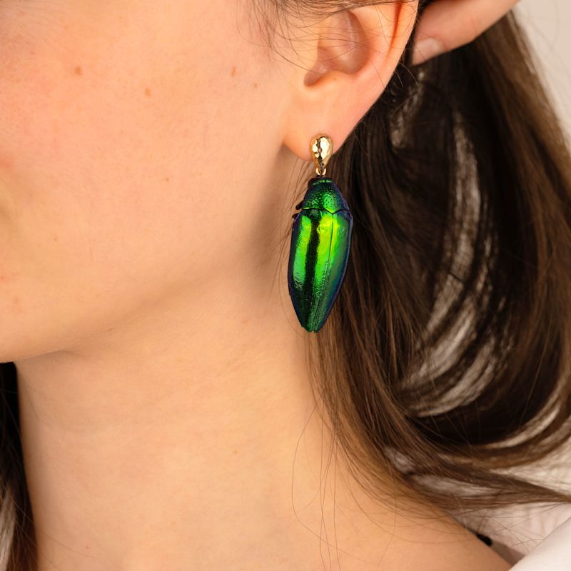 Real Beetle Scarab Insect Drop Earrings Gold Ear Studs | Oana Savu ...