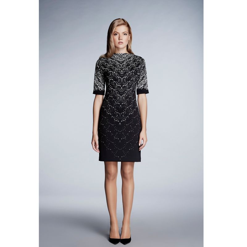 Printed Lace Monochrome Fitted Dress image