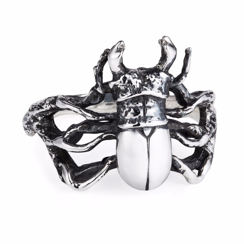 Little Stag Beetle Ring image