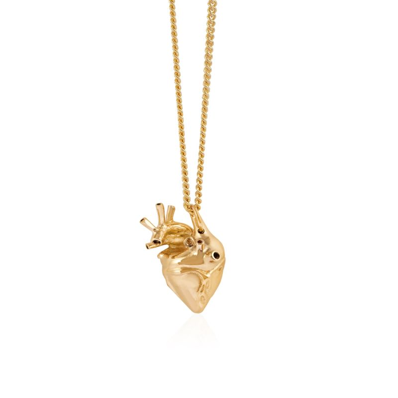 Small anatomical outlet heart necklace