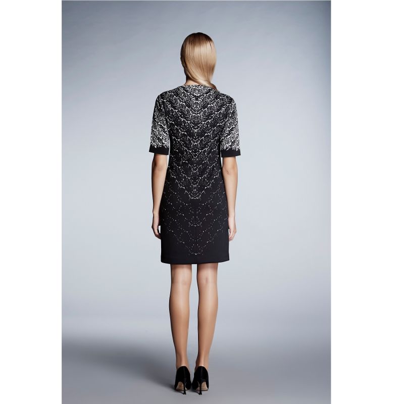 Printed Lace Monochrome Fitted Dress image