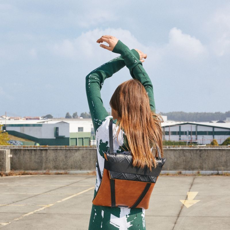 Black & Brown Backpack City image