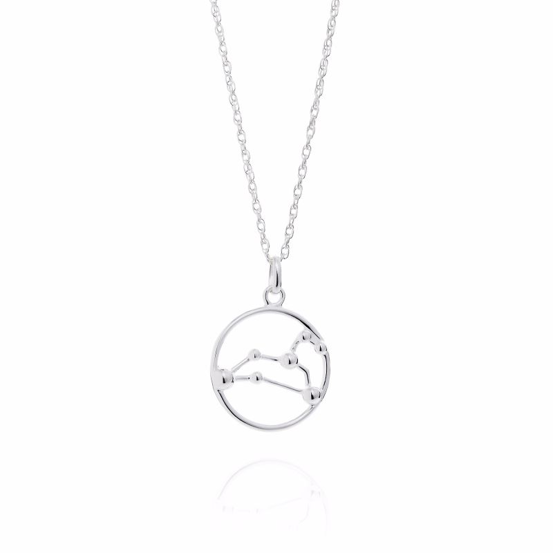 Leo Astrology Necklace image