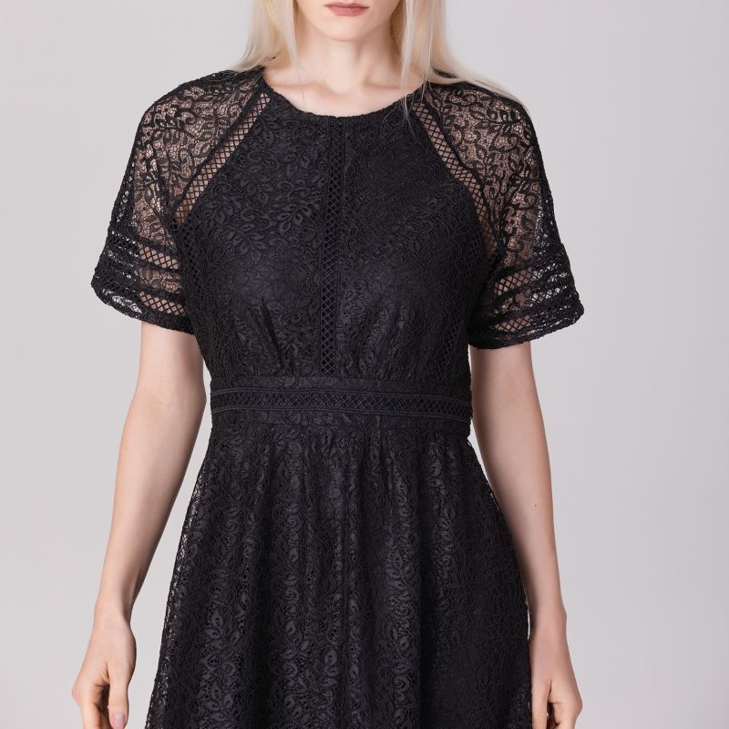 All-Lace Flared Dress And Trims - Black image