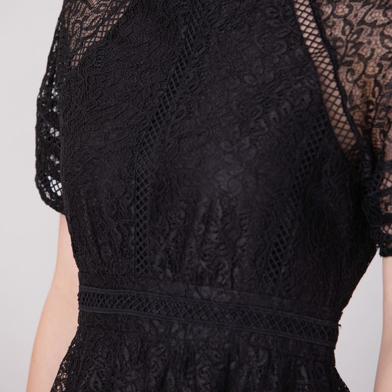 All-Lace Flared Dress And Trims - Black image