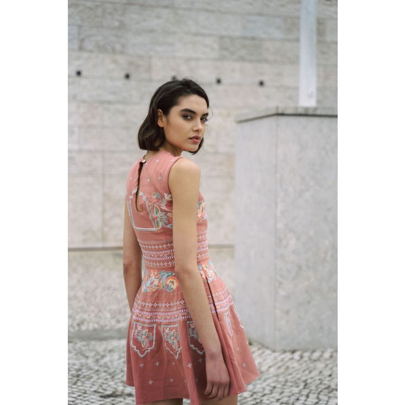 Amara Embroidered Blush Dress image