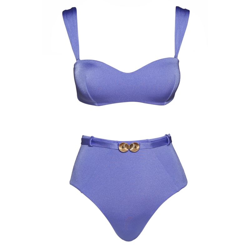 Amethyst Seashell Classic High Waist Bottom image