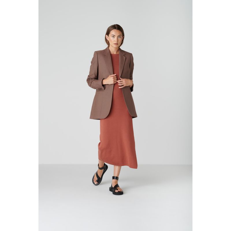 Ana Dress In Copper Brown image