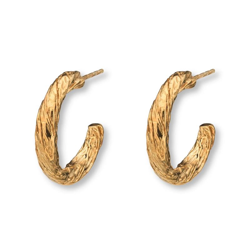 Archaic Small Hoop Earrings Gold EVA REMENYI Wolf & Badger