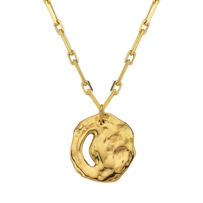 Atlantis Gold Medallion Necklace image