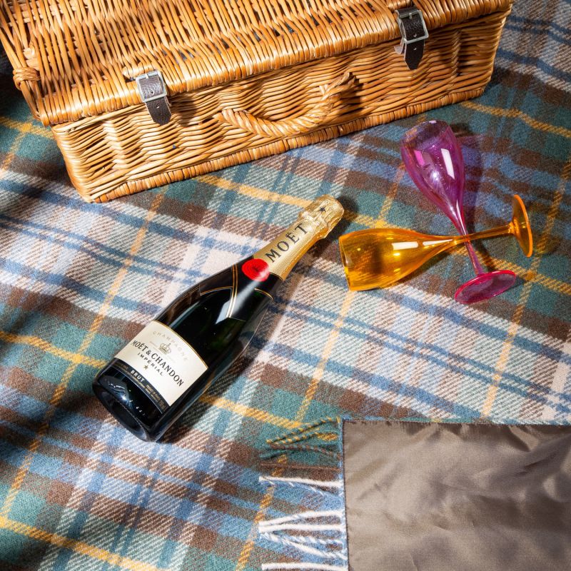 Pure New Wool Waterproof Picnic Blanket - Brown image