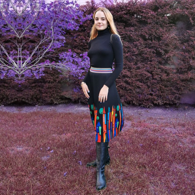 Black Midi Pleated Skirt With Colorful House Prints image