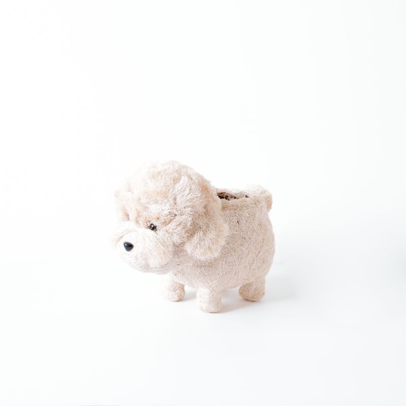 Poodle Planter - Coco Coir Pots Likhâ image