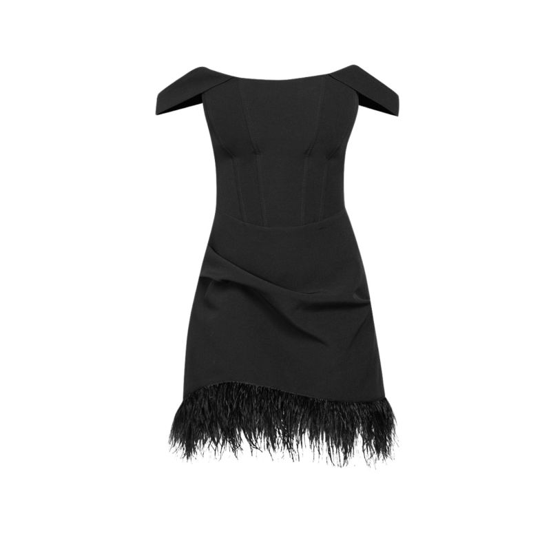 Black Mini Corset Dress With Feather Trim image