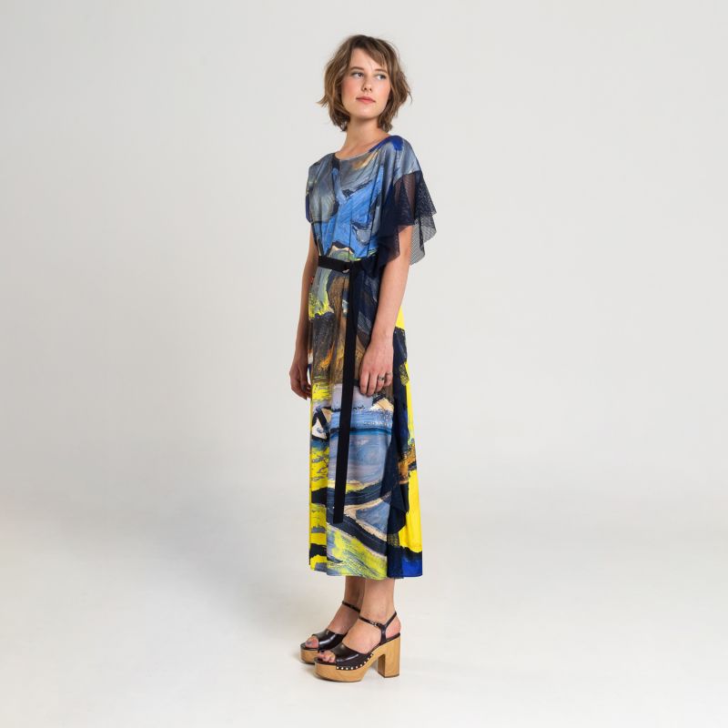 Blue Bird Printed Maxi Dress image