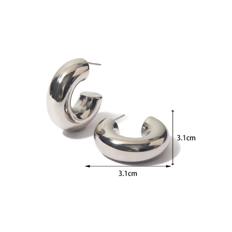 Bold Silver Hoop Earrings image