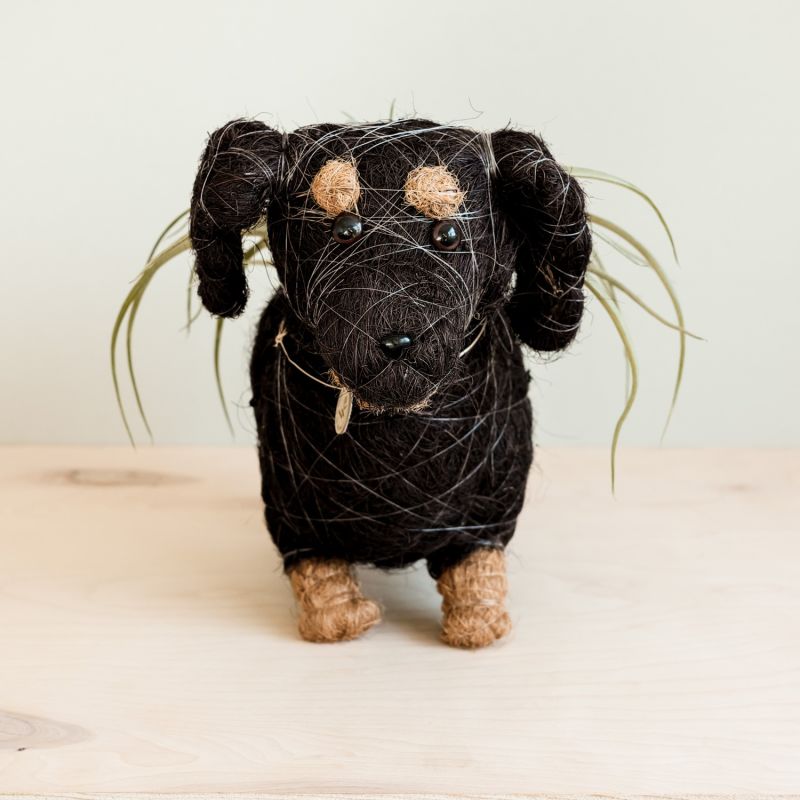 Coco Coir Animal Planter Dachshund image