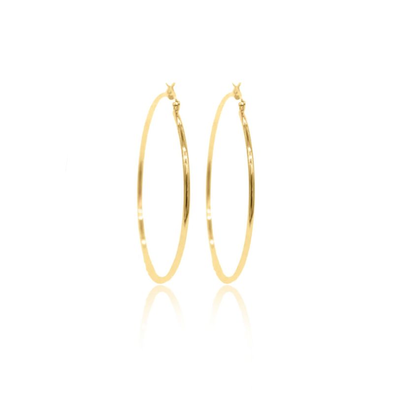 Casia Minimal Hoop Earrings - Gold image