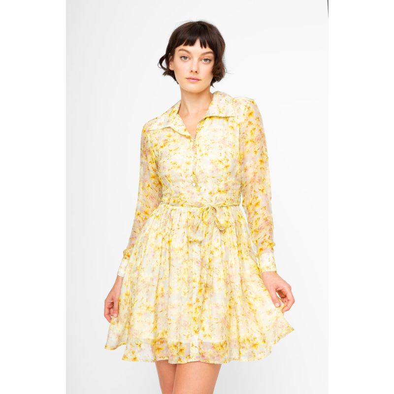 Cassia Yellow Floral Dress image