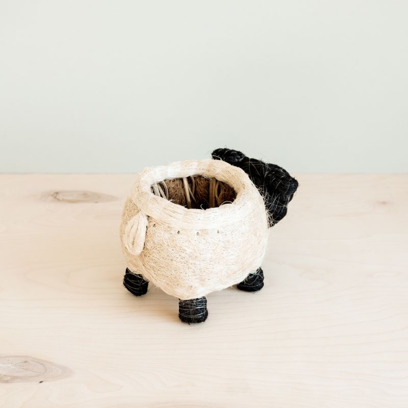 Coco Coir Animal Planter Sheep image