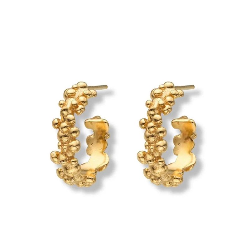 Céleste Deux Small Hoop Earrings Gold image