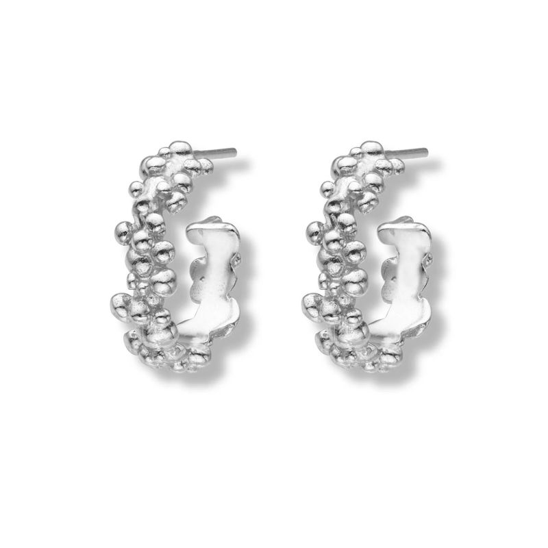 CéLeste Deux Small Hoop Earrings Silver image
