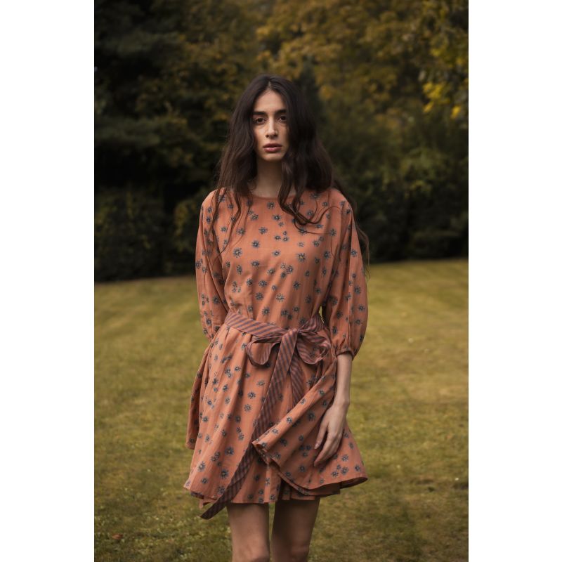 Cinnamon Daisy Mini Dress image