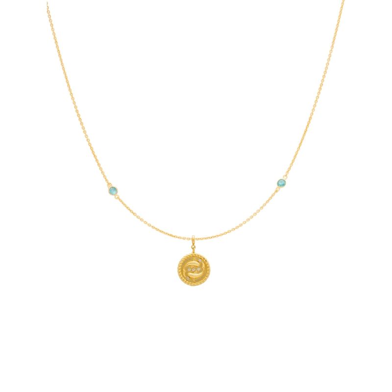 Zodiac Horoscope Sign Pisces Medal Necklace Gold image