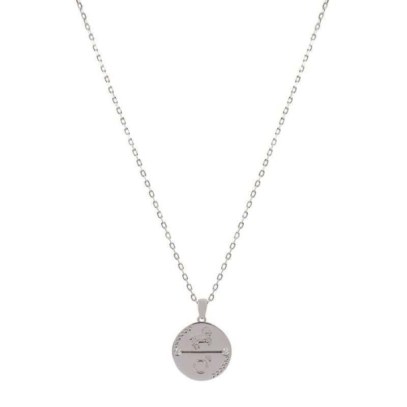 Aries Zodiac Necklace - Silver image