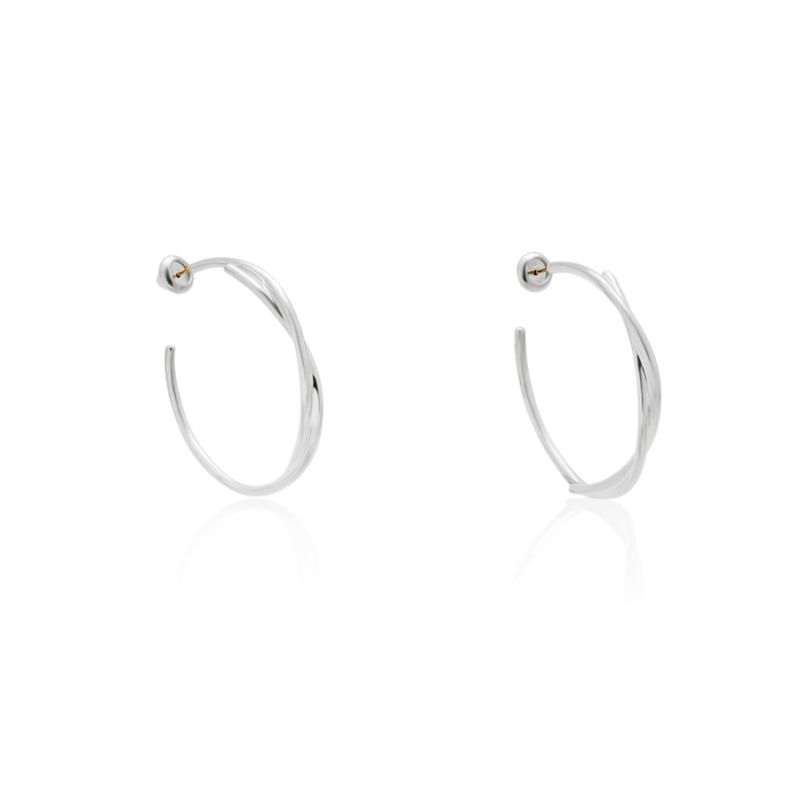 Silver Flavia Earrings image