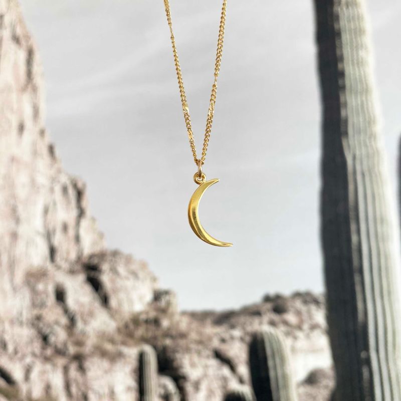 Crescent Moon Necklace Glamrocks Jewelry Wolf Badger