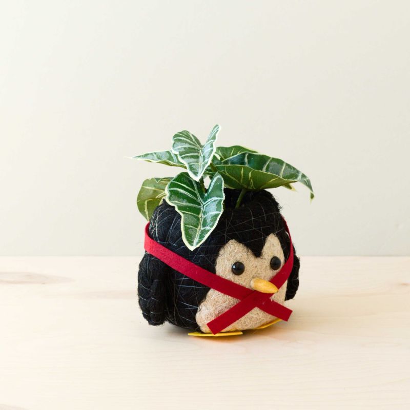 Penguin Planter - Coco Coir Pot image