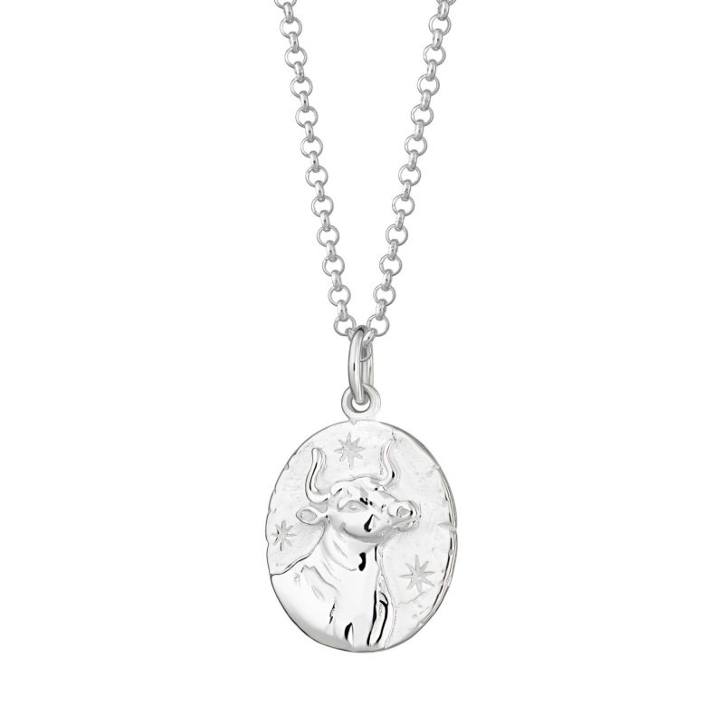 Silver Taurus Zodiac Necklace image