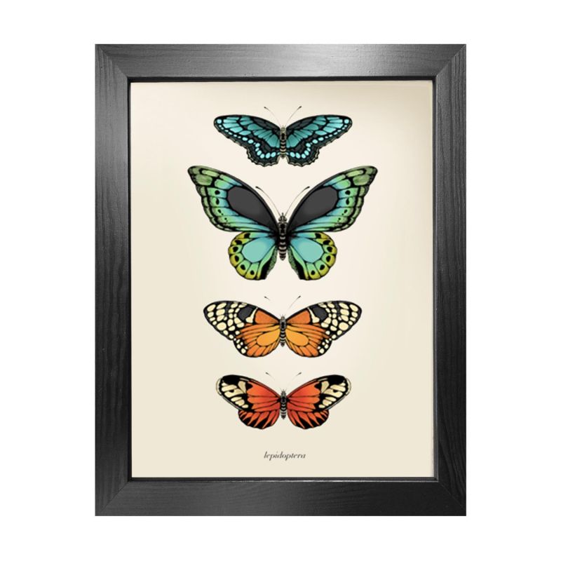 'Antique Tropical Butterflies Ii' Fine Art Print A5 image