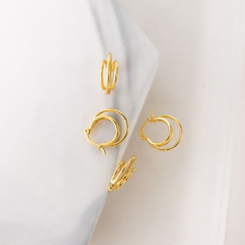 Dani Earrings - Gold image