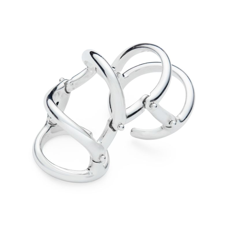 Drop Armour Ring Double Hinge image