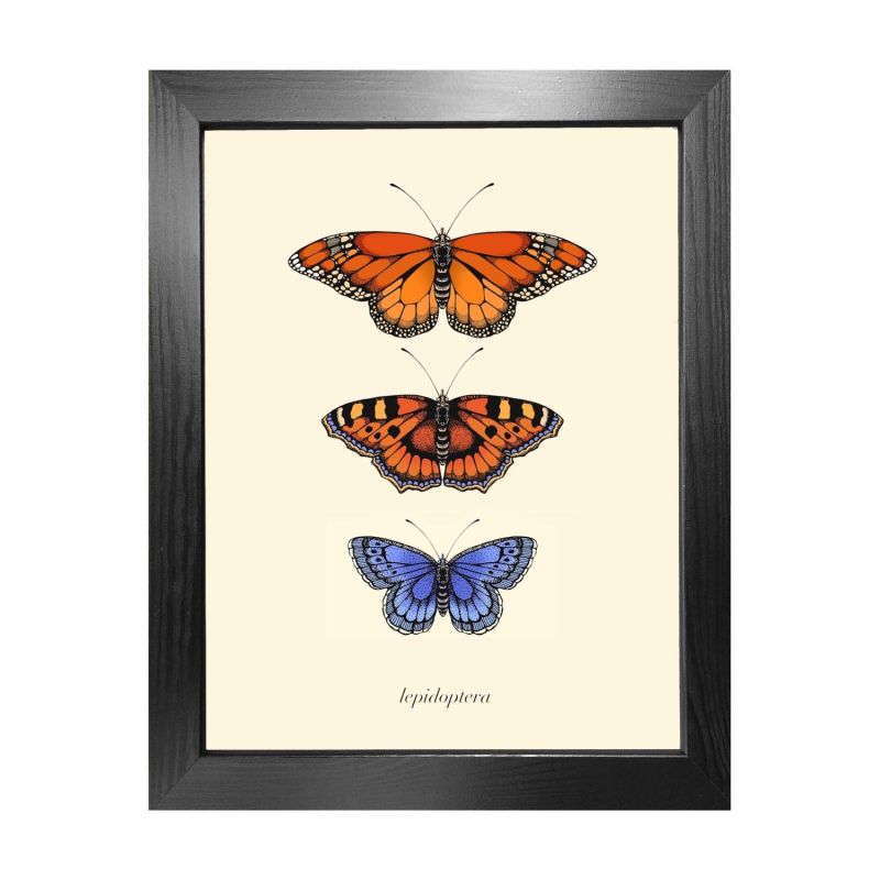 'Antique British Butterflies I' Fine Art Print A4 image