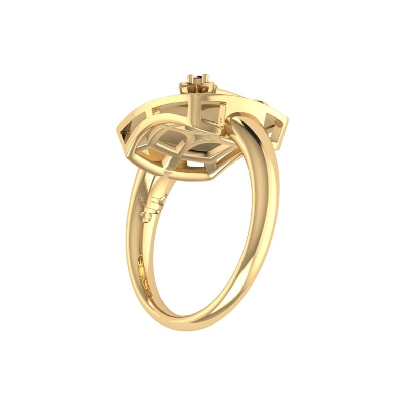 Capricorn Goat Constellation Signet Ring In 14 Kt Yellow Gold Vermeil image