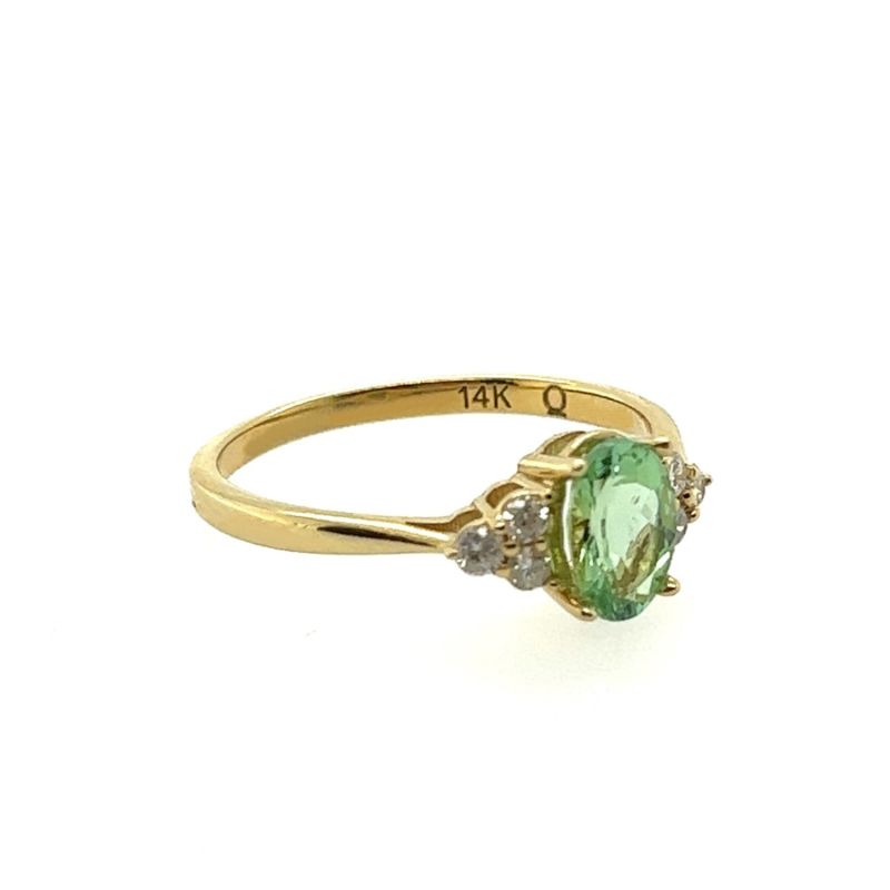 Elphaba Gold & Green Tourmaline Ring image