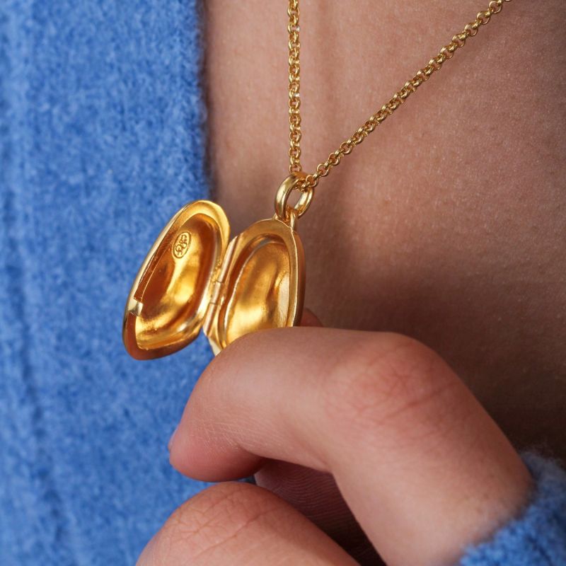 Pebble Photo Locket Pendant In 18Ct Gold Vermeil image