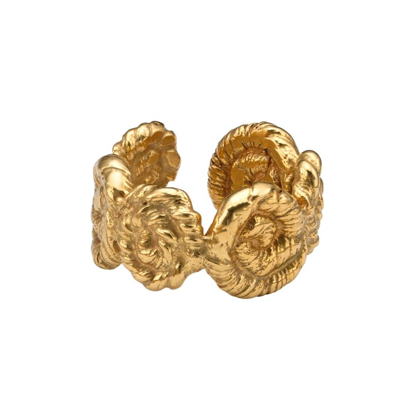 Nautilus Chunky Ring Gold image