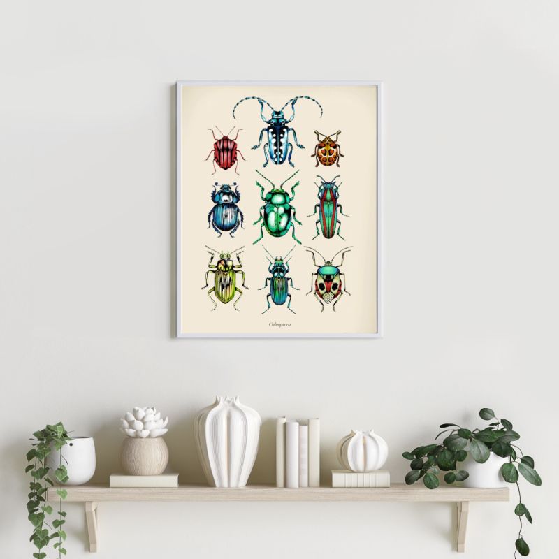 'Antique Tropical Beetles' Fine Art Print A3 image